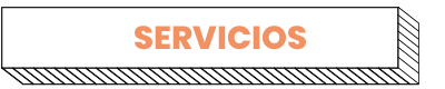 SERVICIOS-02